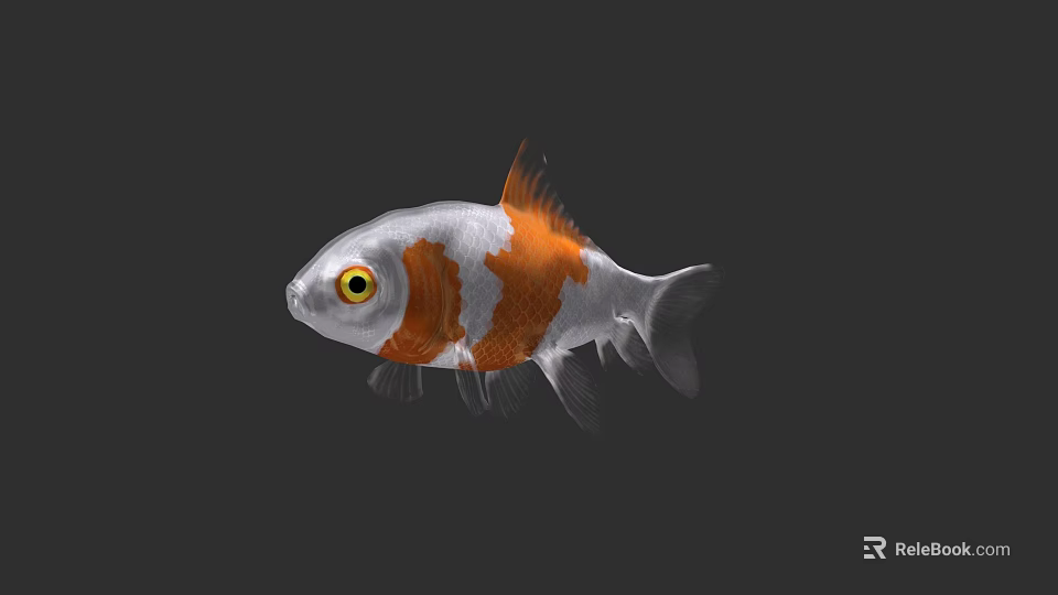 Stunning Silver And Orange Aquatic Goldfish With Bright Yellow Eyes Appearance 3d model 