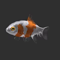 Stunning Silver And Orange Aquatic Goldfish With Bright Yellow Eyes Appearance