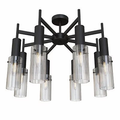 Modern Ceiling Light With Black Metal Frame And Transparent Glass Shades 3d model