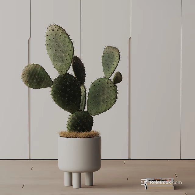 Bonsai Cactus Plant in White Ceramic Pot Indoor Decor with Light Wood Wall Background 3d model 