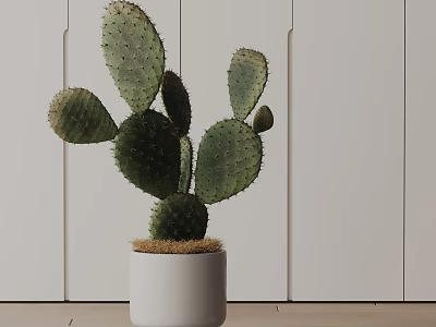 Bonsai Cactus Plant in White Ceramic Pot Indoor Decor with Light Wood Wall Background 3d model