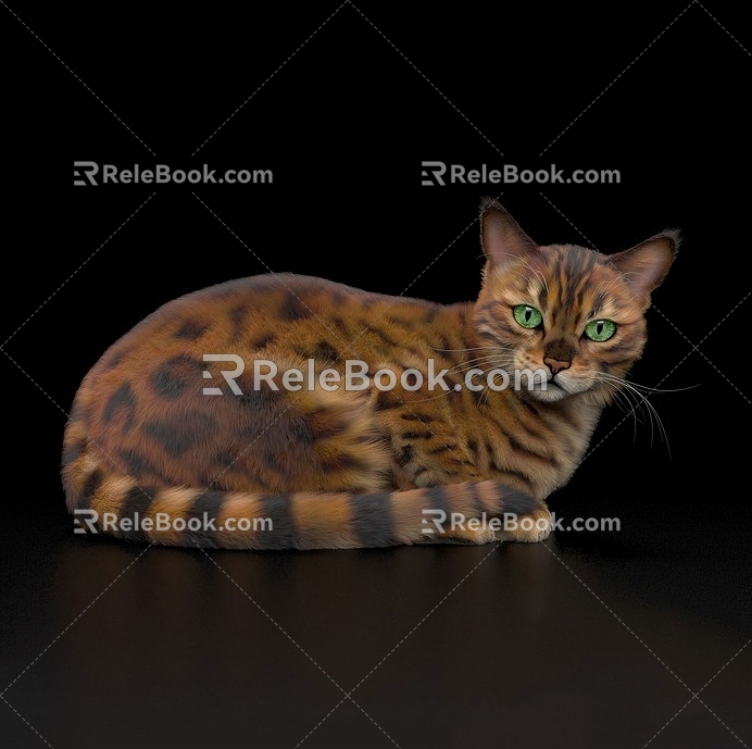 Animal Cat Pet Cat 3d model