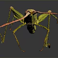 Game Movie Character Green Grasshopper With Slender Body Red Antennae Dark Background And Reflection