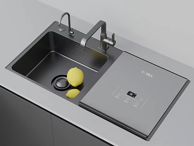 Modern Kitchen Interior With Stainless Steel Sink Faucet Lemon And FOTILE Appliance Panel 3d model