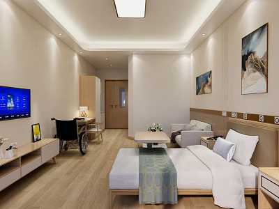 Accessible Nursing Room Interior With Bed Wheelchair TV Sofa And Wooden Floor 3d model