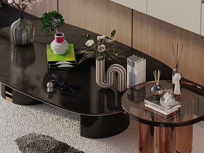 Modern coffee table model