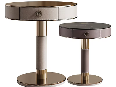 Two Round Side Tables Featuring Leather Wrapped Design And Gold Metal Base 3d model
