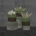 Bonsai Potted Plants On Gray Pedestals Against Gray Tile Wall With Green White Brown Grass