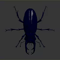 Shiny Blue Stag Beetle With Large Mandibles And Detailed Legs Against Dark Background