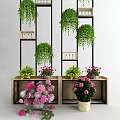 Indoor Bonsai and Potted Plants Decor on Wooden Shelf with Green and Flowering Varieties