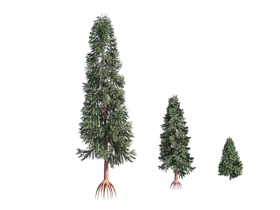 Arbor Trees in Three Sizes with Green Foliage and Exposed Roots 3d model
