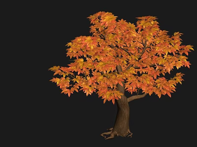 Beautiful Autumn Tree with Red and Orange Leaves on Black Background 3d model