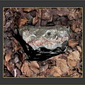 Natural Wood And Stone Decorative Display With Earthy Tones And Autumn Leaves Texture