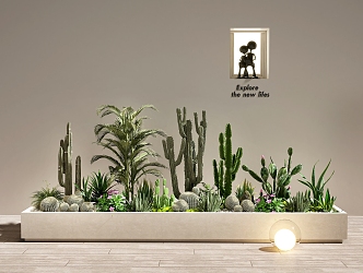 cactus plant landscape plant heap cactus combination succulent plant heap 3d model