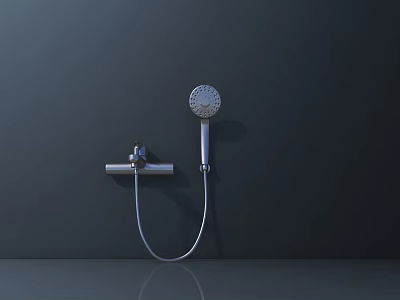 Modern Wall Mounted Shower Head With Handheld Function And Metal Finish Design 3d model