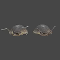 Two Brown Segmented Pill Bugs With Long Antennae On Gray Surface 3d model