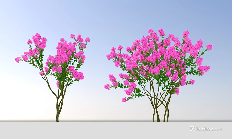 Two Clusters of Lush Shrubs With Vibrant Pink Flowers Against Blue Sky 3d model 