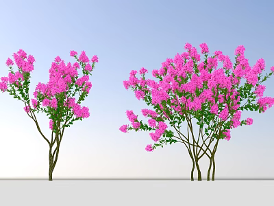 Two Clusters of Lush Shrubs With Vibrant Pink Flowers Against Blue Sky 3d model