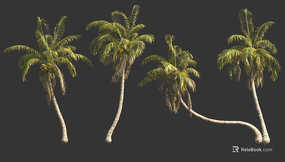 Tall Green Palm Trees With Curved Trunks And Lush Fronds Isolated On Dark Background 3d model 