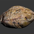 Roasted Sweet Potato With Golden Brown Crispy Skin And Soft Tender Inside