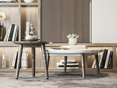 Modern Tea Tables With Wooden Frame And Marble Top Near Bookshelves And Succulent Plant 3d model