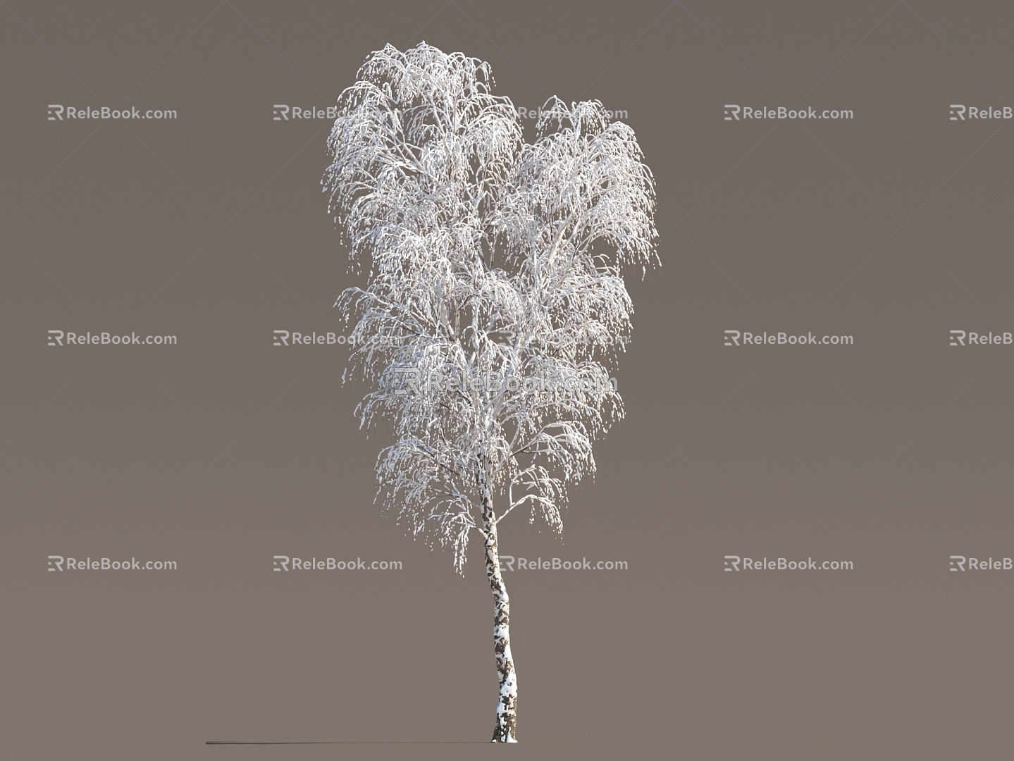 Winter Trees Ice and Snow Trees Frozen Trees Ice and Snow Scenes Snow and Ice Cover Street Trees in Winter 3d model