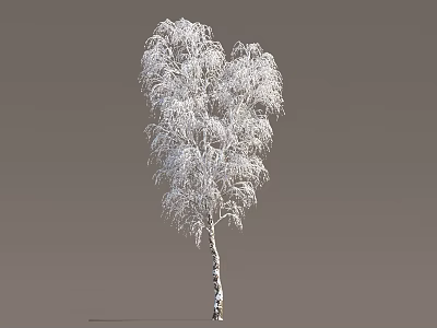Winter Trees Ice and Snow Trees Frozen Trees Ice and Snow Scenes Snow and Ice Cover Street Trees in Winter 3d model