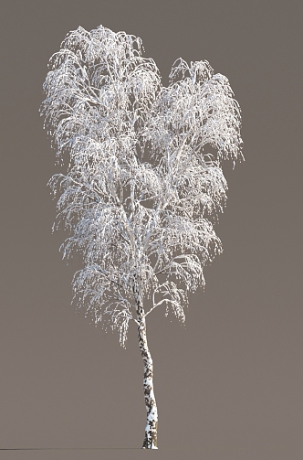 Winter Trees Ice and Snow Trees Frozen Trees Ice and Snow Scenes Snow and Ice Cover Street Trees in Winter 3d model