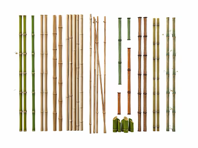 Various Natural Bamboo Stems In Green And Brown With Shoots And Leaves 3d model