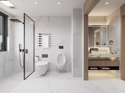 Modern Bathroom Interior Design With Marble Walls Glass Shower Toilet Urinal And Vanity 3d model