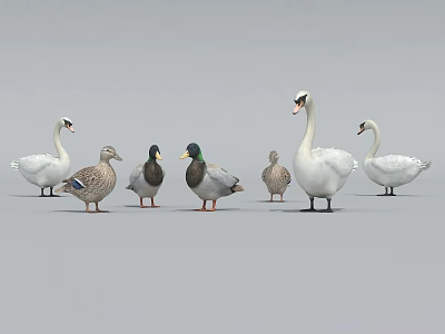 Various Reptile Species Including Lizards Snakes And Turtles On Gray Background 3d model