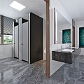 Modern Public Restroom With Toilet Stalls Sink Counter Mirror Marble Floor And Potted Plant