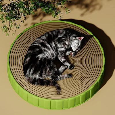Reptile Lizard Resting On Green Rimmed Circular Mat With Plant Leaves 3d model