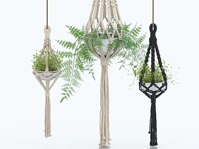 Hanging Bonsai Plants in Different Colored Macramé Hangers with White Pots and Green Ferns Indoor 3d model