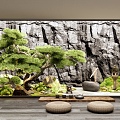 Japanese-style courtyard landscape sketch garden landscape landscaping moss plant combination stone pine fern 3d model