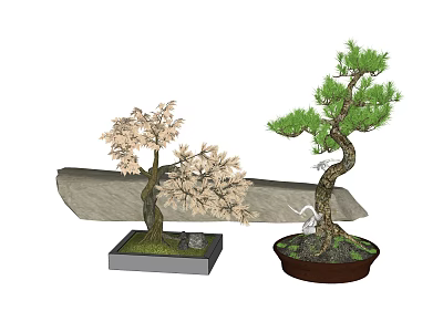 Ornamental Bonsai Plants With Pink Maple Green Pine Leaves In Square Round Pots Stone Accent 3d model