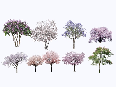 2D Tree Landscape Tree Cherry Blossom Tree Cherry Blossom Peach Blossom Tree Begonia Tree Lagerstroemia indica Jacaranda Magnolia grandiflora Lagerstroemia indica model