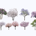 2D Tree Landscape Tree Cherry Blossom Tree Cherry Blossom Peach Blossom Tree Begonia Tree Lagerstroemia indica Jacaranda Magnolia grandiflora Lagerstroemia indica 3d model