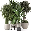 Stylish Garden Decorative Pieces with Bamboo Monstera and Green Plants in Concrete Pots