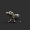 Realistic 3D Hippopotamus Model as Aquatic Animal with Detailed Skin Texture