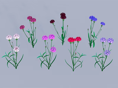 Vibrant Multi Colored Flowers with Green Stems and Leaves on Gray Background 3d model