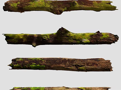 Natural Stone and Wood Pieces with Mossy Texture and Organic Surfaces 3d model