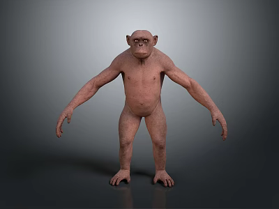 Brown Full Body Standing Orangutan with Extended Arms on Gray Gradient Background 3d model