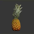 Fresh Ripe Pineapple With Yellow Shiny Skin And Green Leaves On Dark Background