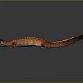 Orange And Black Patterned Salamander With Open Mouth And Long Tail On Black Surface