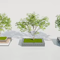 Modern Urban Tree Planters with Green Trees and Rectangular Concrete Bases 3d model