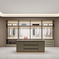 Light Luxury Cloakroom 3d model