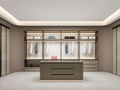 Modern Walk in Closet Interior With Hanging Clothes Cabinets And Central Drawer Cabinet 3d model