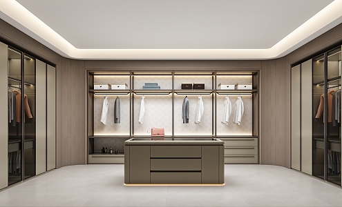 Light Luxury Cloakroom 3d model