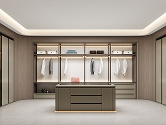 Light Luxury Cloakroom 3d model